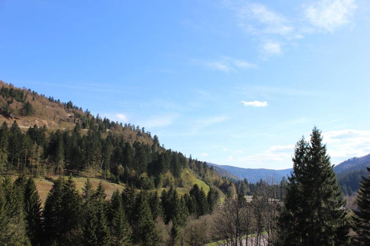 Sous Les Pistes Avec Vue Sur La Vallee